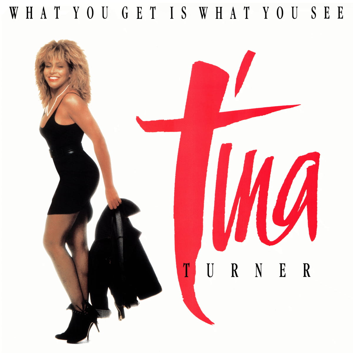 Tina Turner - What You Get Is What You See - Single