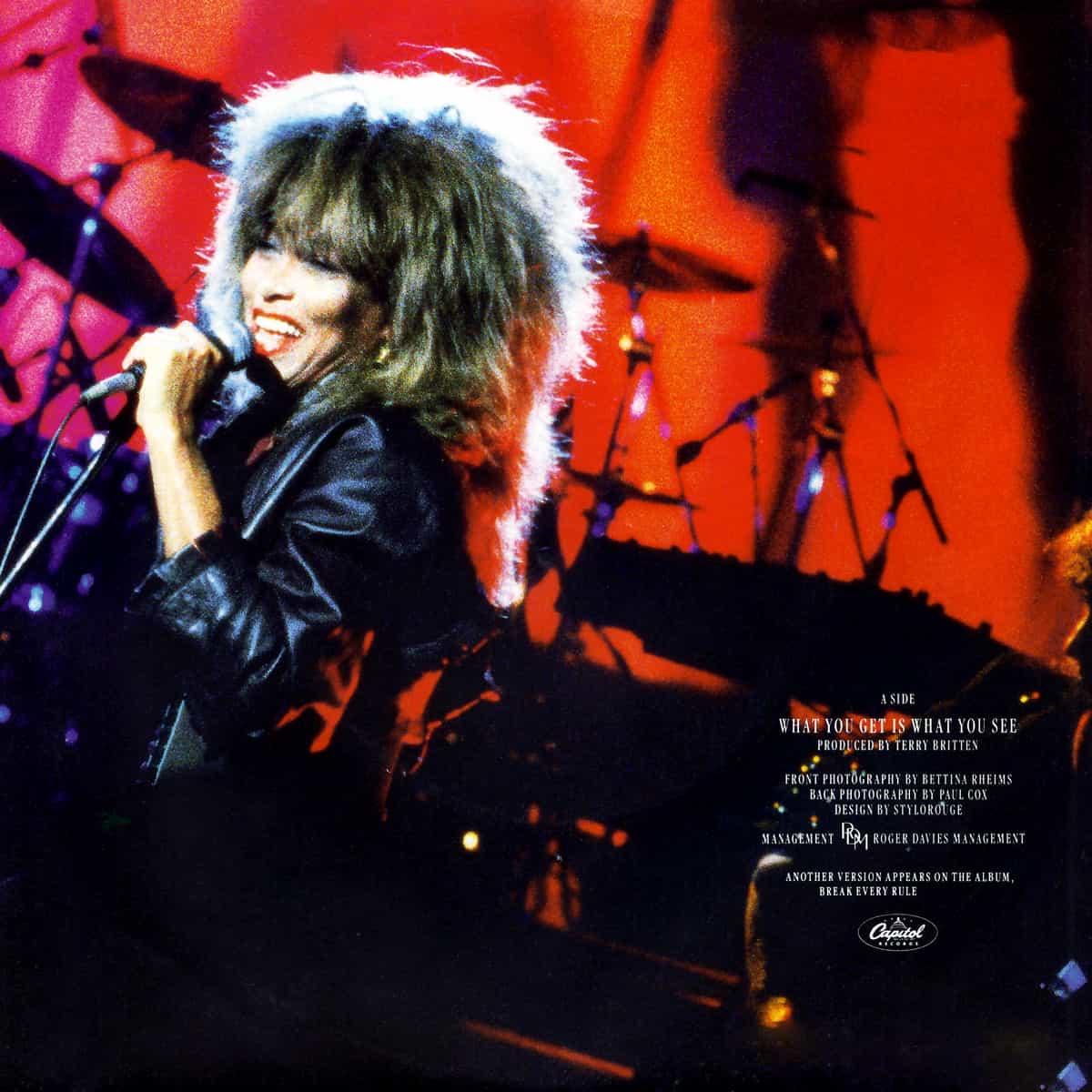 Tina Turner - What You Get Is What You See - Single