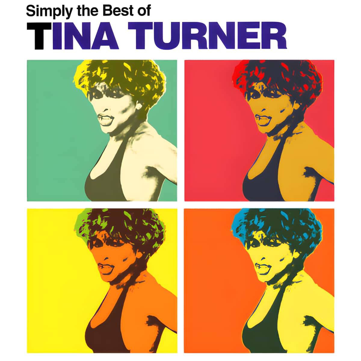 Tina Turner - Simply The Best of Tina Turner - Songbook