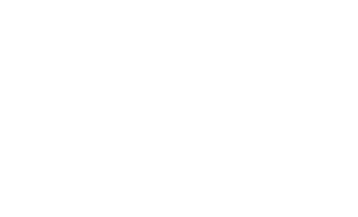 Tina Turner - Release Story