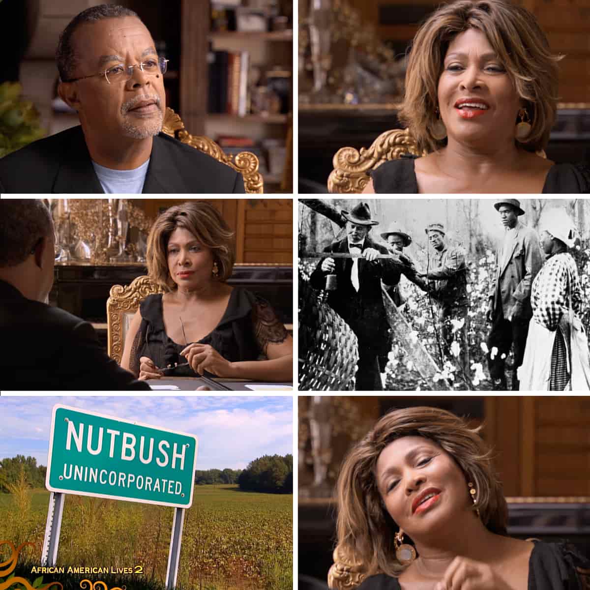 Tina Turner - African American Lives - Video