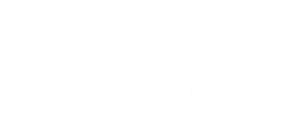 Tina Turner - Aktuelle Schaubude - TV