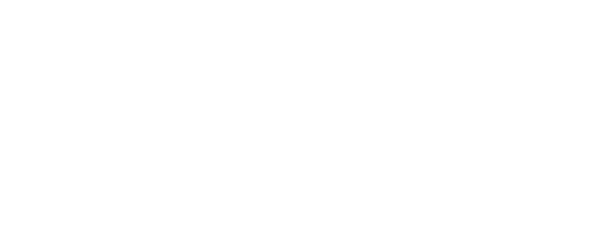 Tina Turner - BRIT Awards - TV