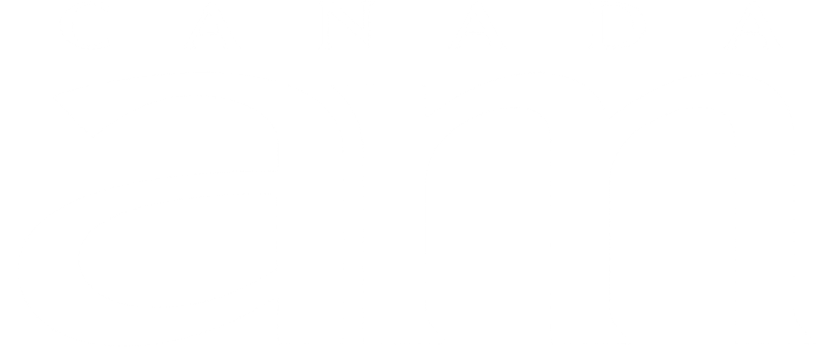 Tina Turner - Canada AM - TV