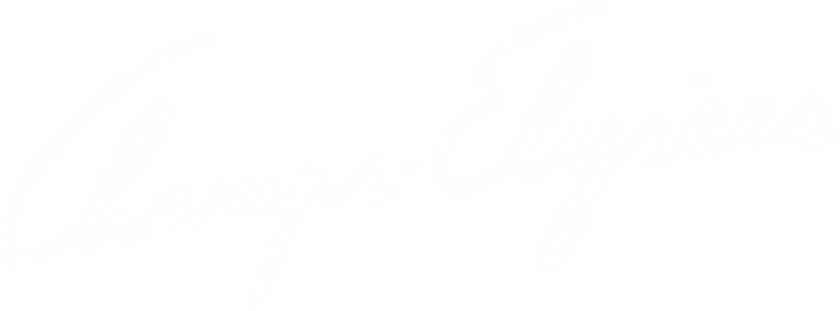 Tina Turner - Champs-Elysées - TV