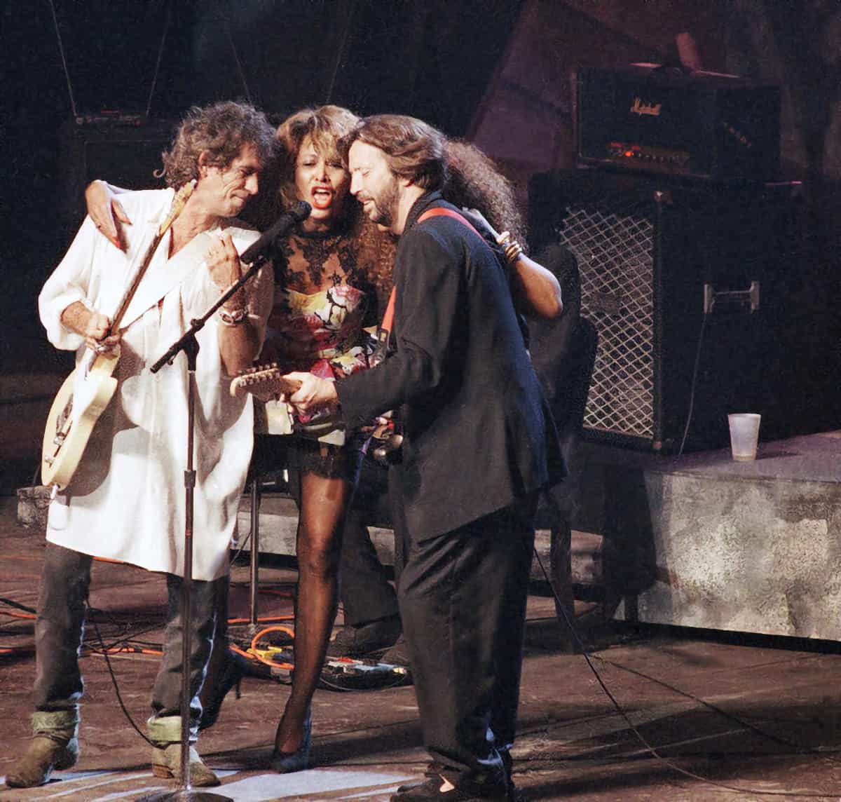 Tina Turner - International Rock Awards - TV