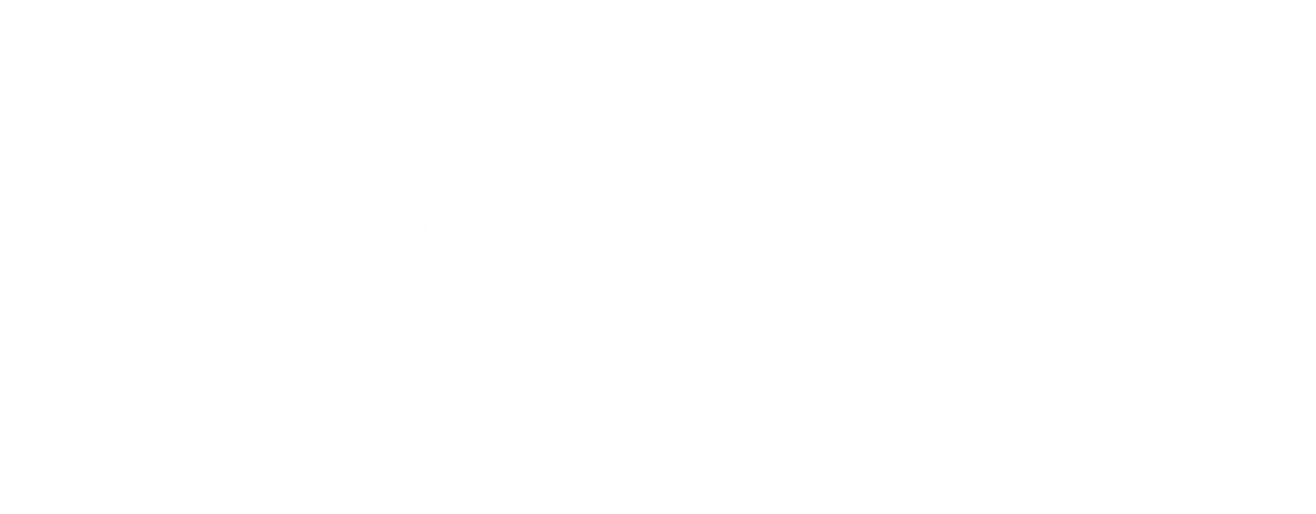 Tina Turner - International Rock Awards - TV