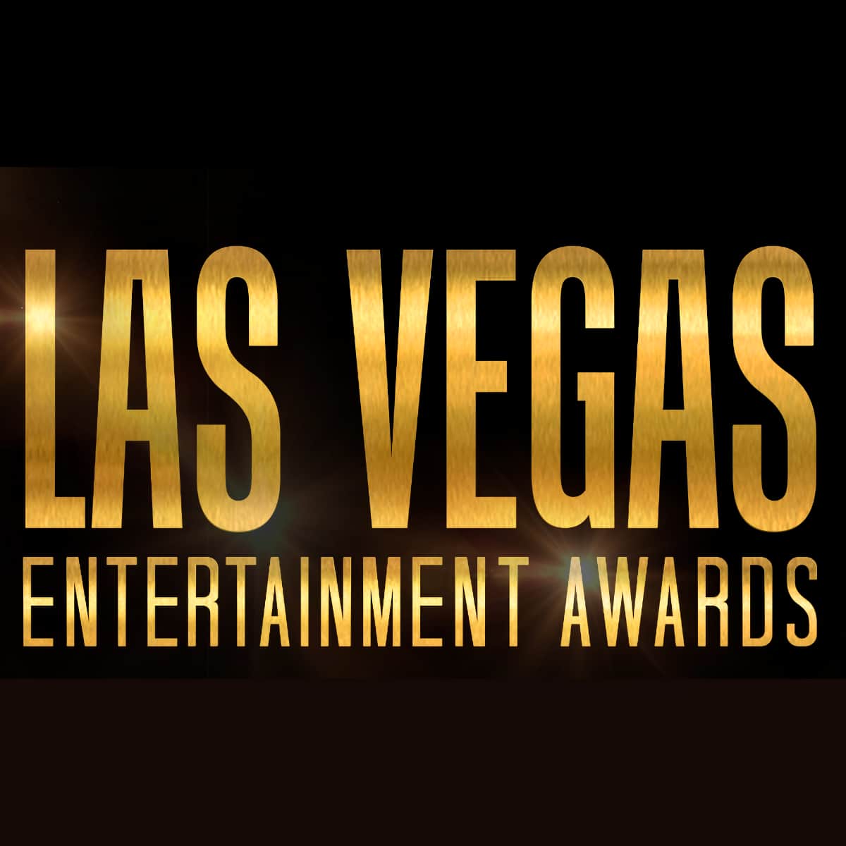 Tina Turner - Las Vegas Entertainment Awards - TV