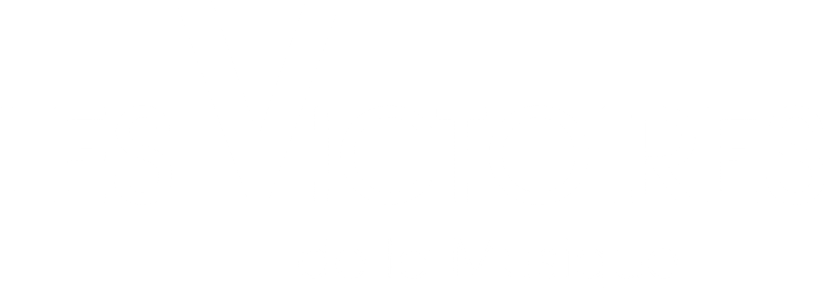 Tina Turner - Les Victoires de la Musique - TV