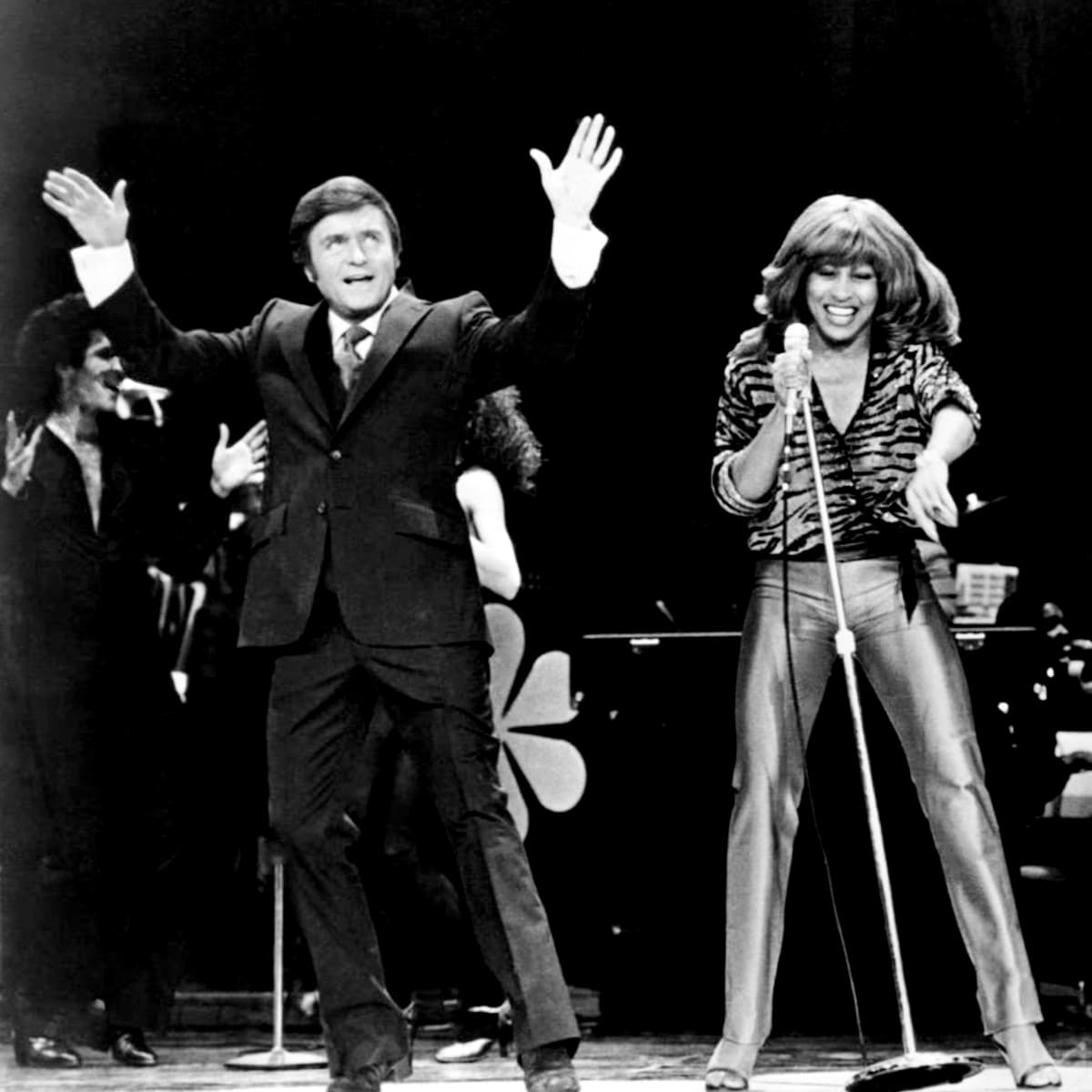 Tina Turner - Mike Douglas Show - TV