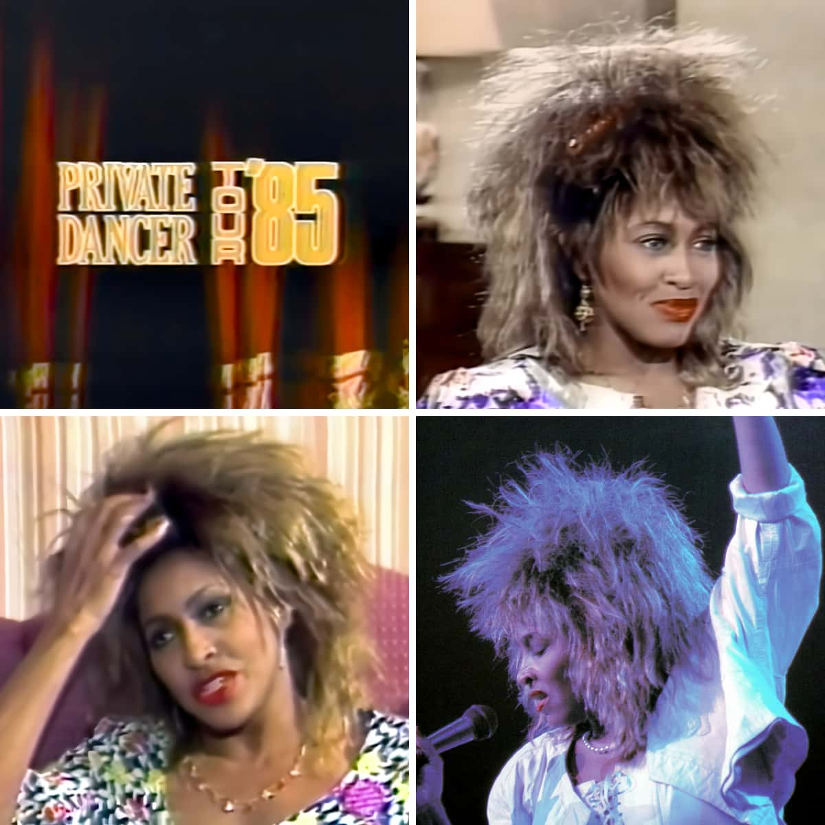 Tina Turner - NTV Newfoundland - TV