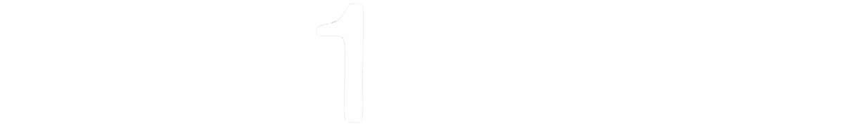 Tina Turner - Platentiendaagse - TV