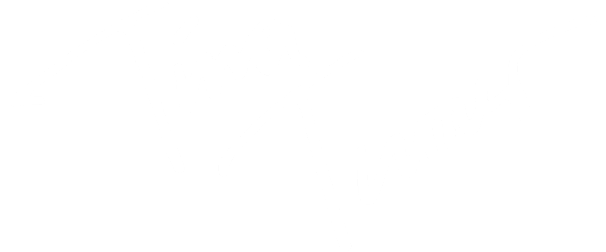 Tina Turner - The Best - TV