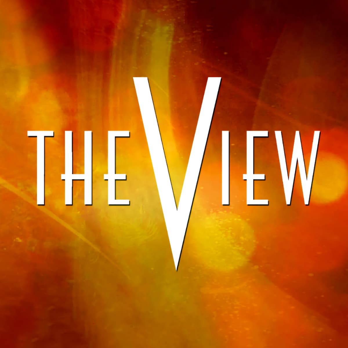 Tina Turner - The View - TV