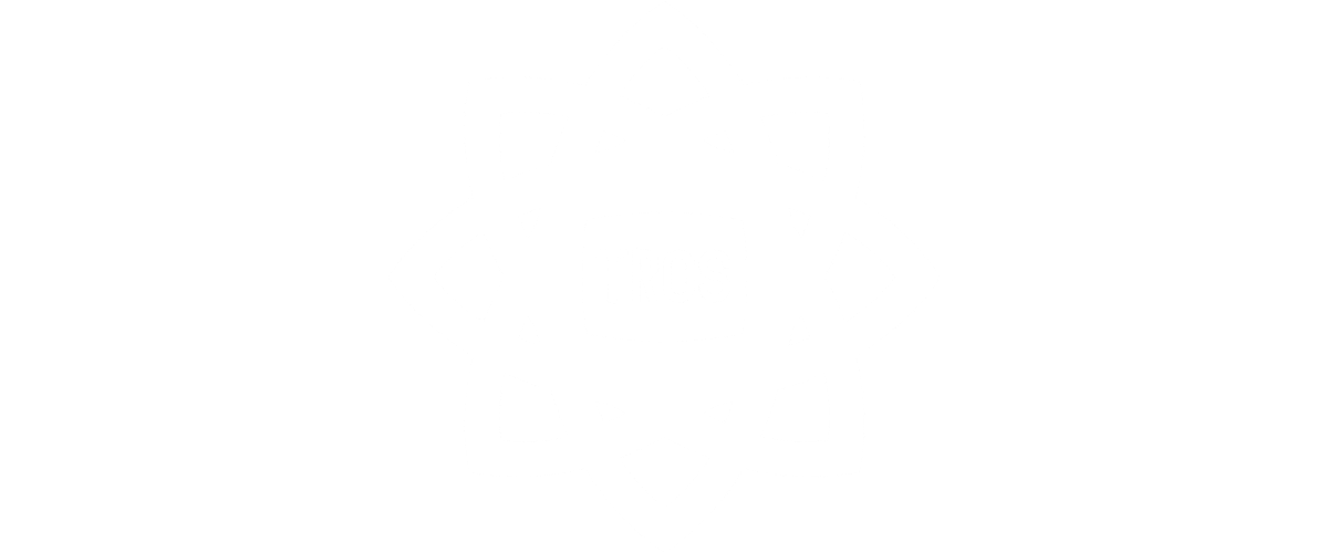 Tina Turner - TROS Show - TV