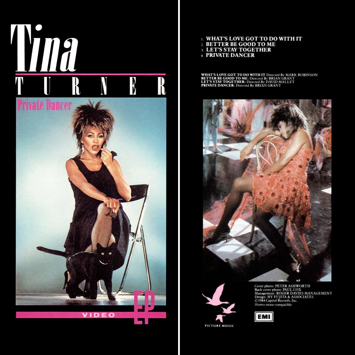 Tina Turner - Private Dancer EP - Video