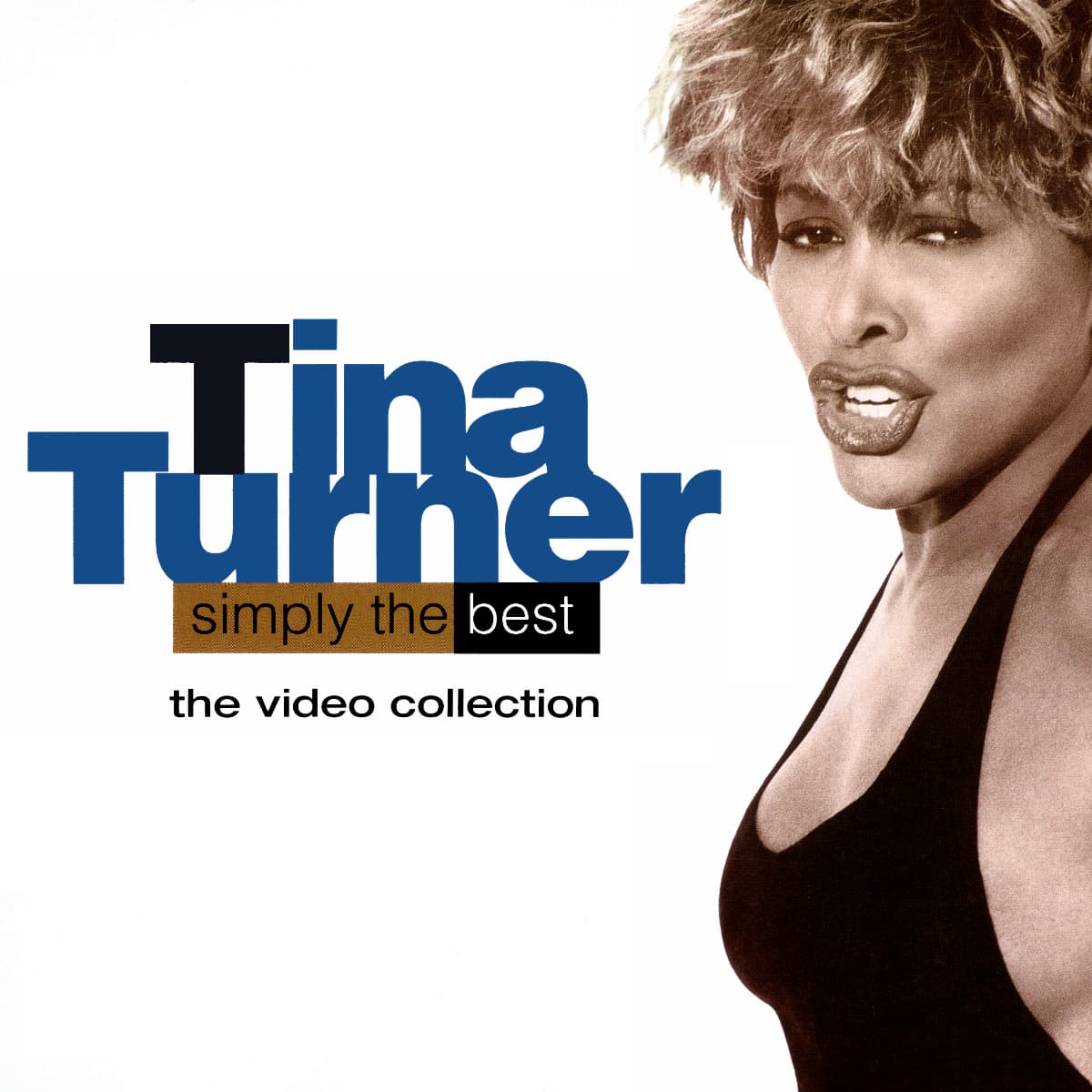 Tina Turner - Simply The Best (The Video Collection)